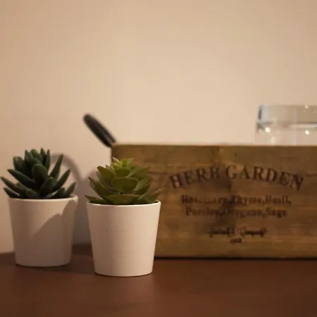 Gasthuis 6th Land - Rent