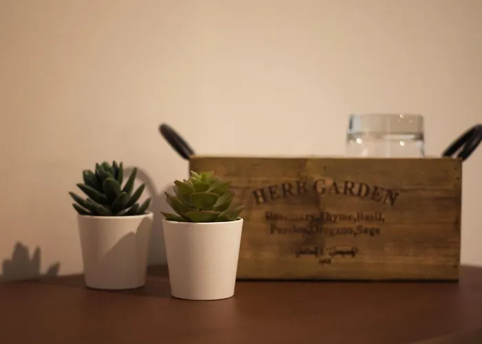 Πανσιόν 6th Land - Rent